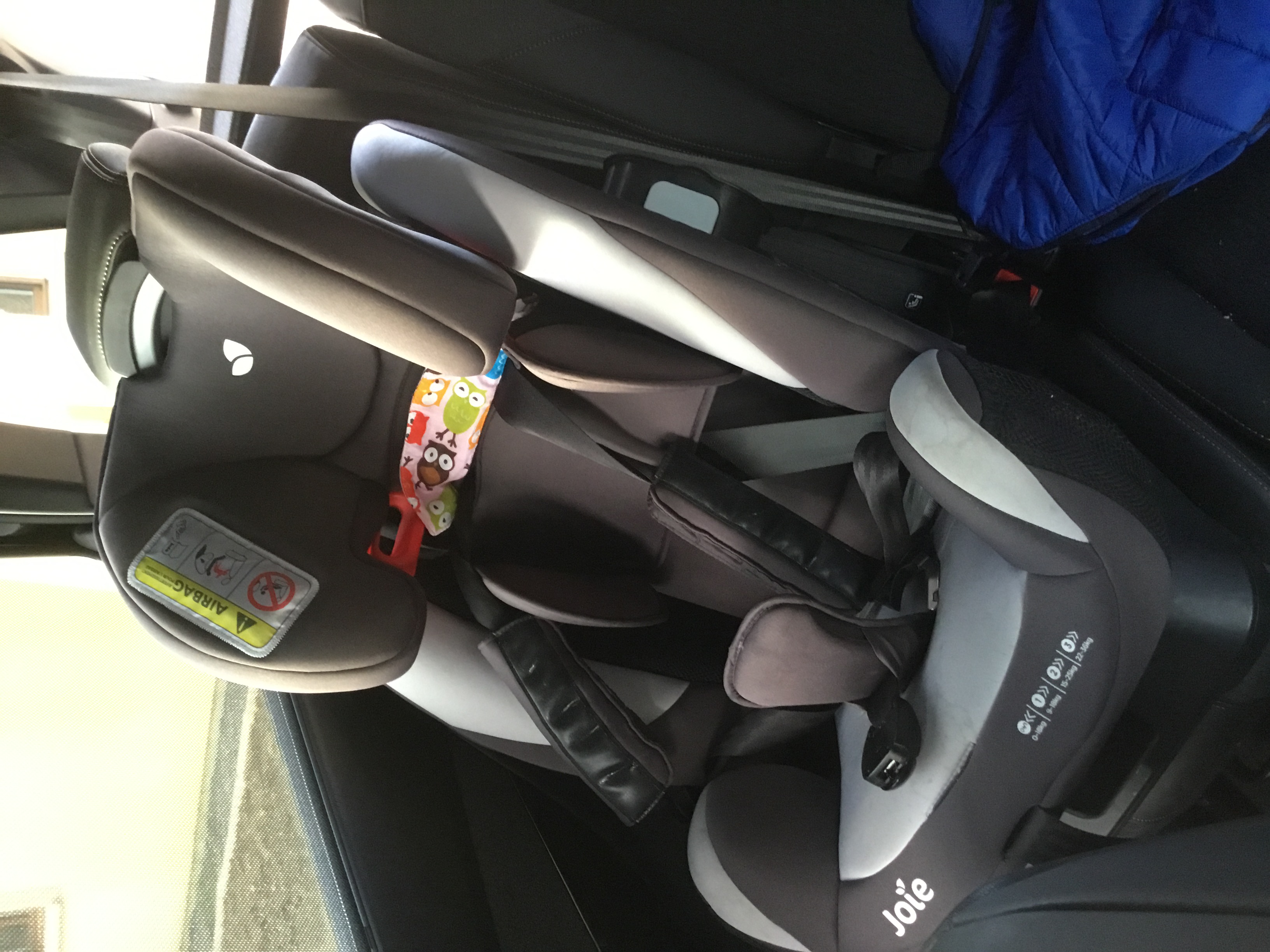 joie bold siege auto