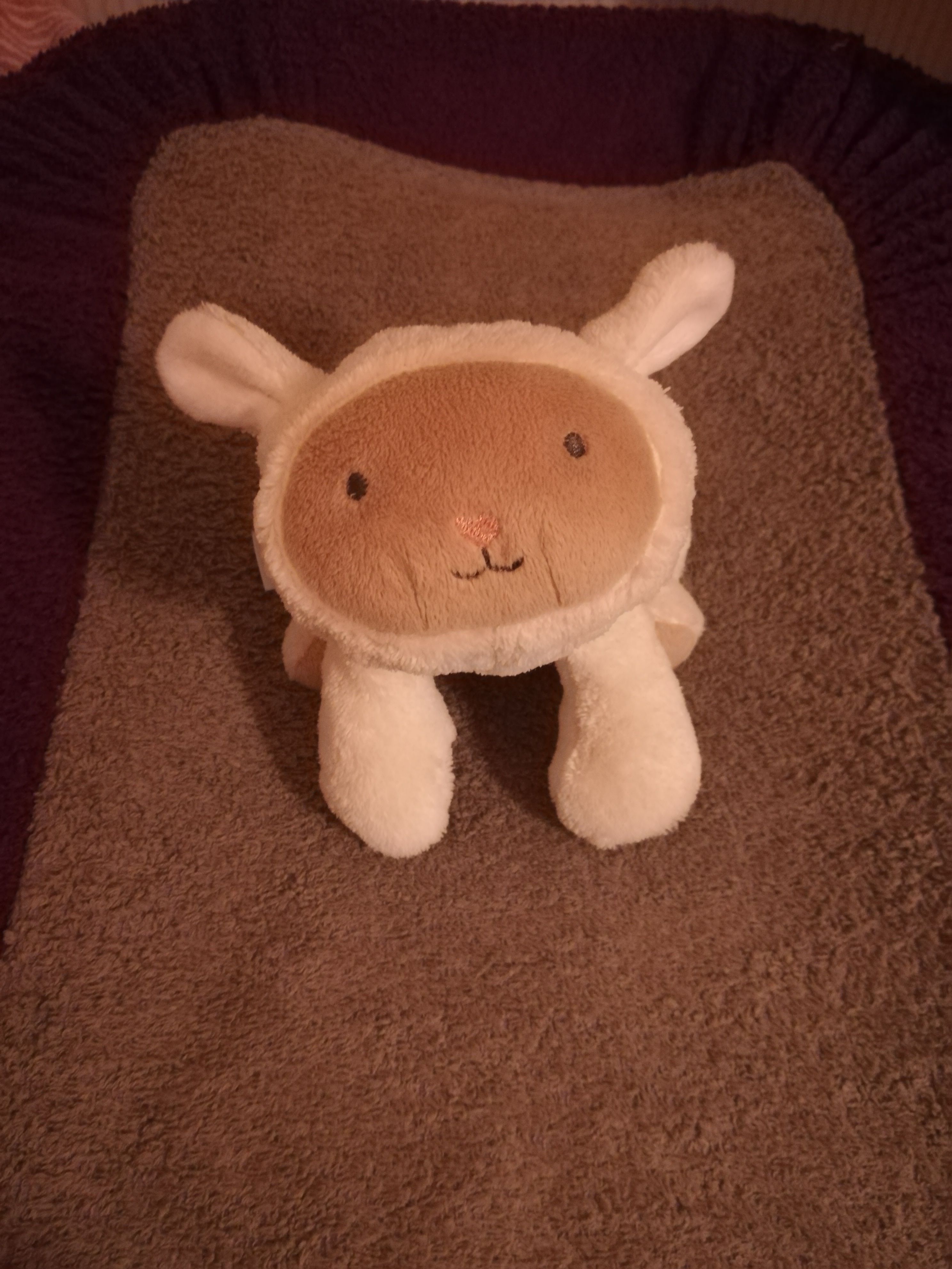 Dehoussable Oiseau 12 X 12 Cm Bouillotte Bebe Aux Graines De Pepins De Raisin Toilette De Bebe Bebe Seviin Com Br