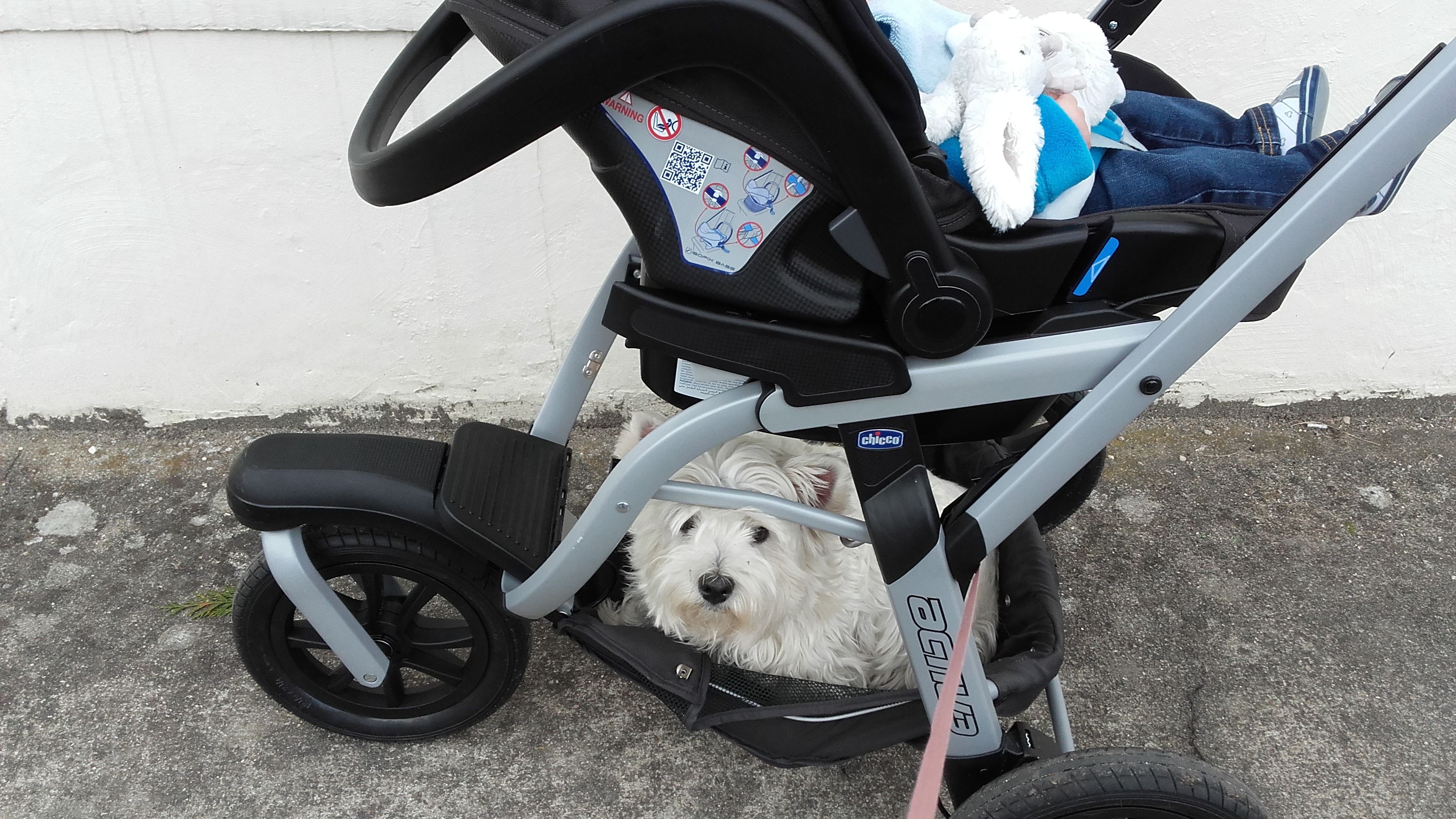poussette chicco 3 roues s3
