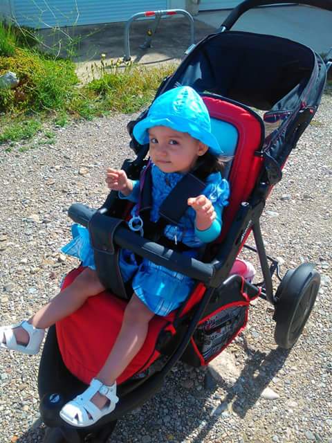 poussette hauck freerider