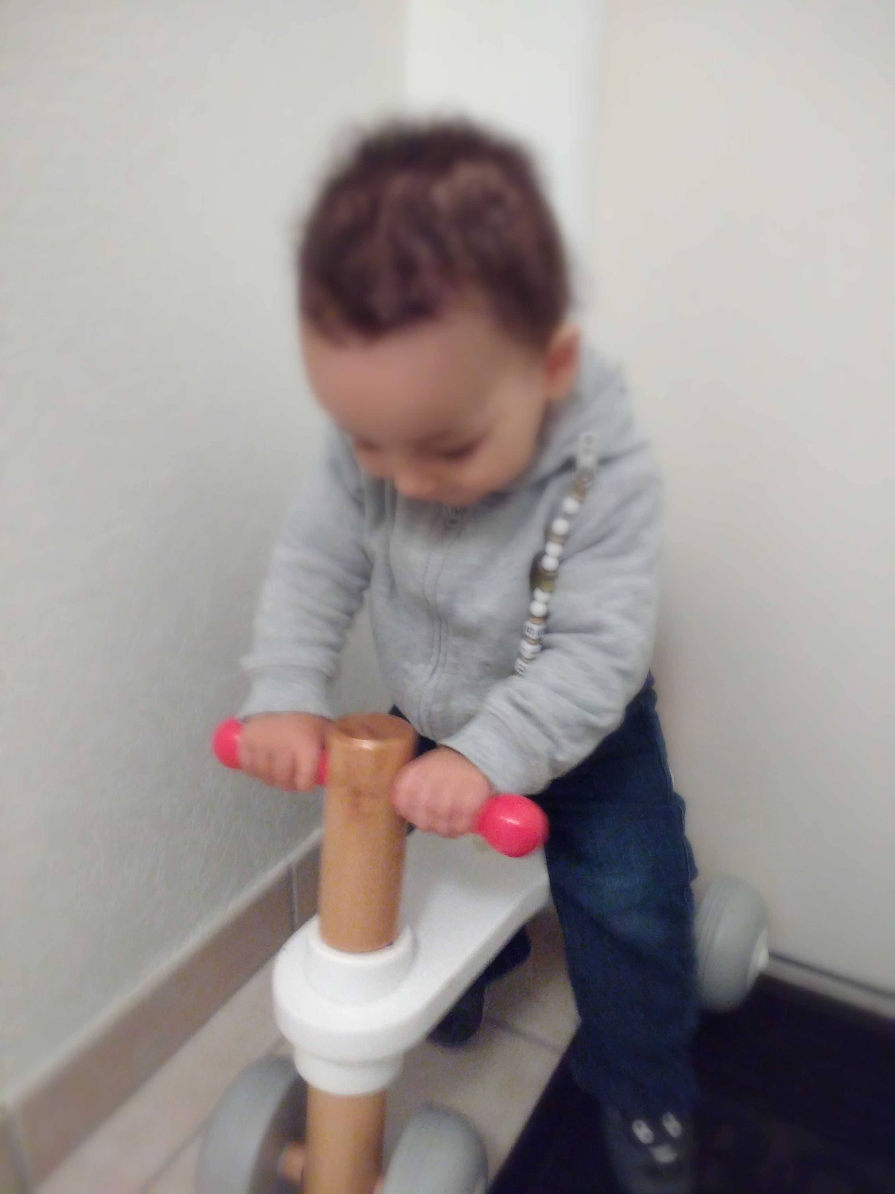 Porteur Bois Trotibul New Daily Offers Sultanmarketim Com