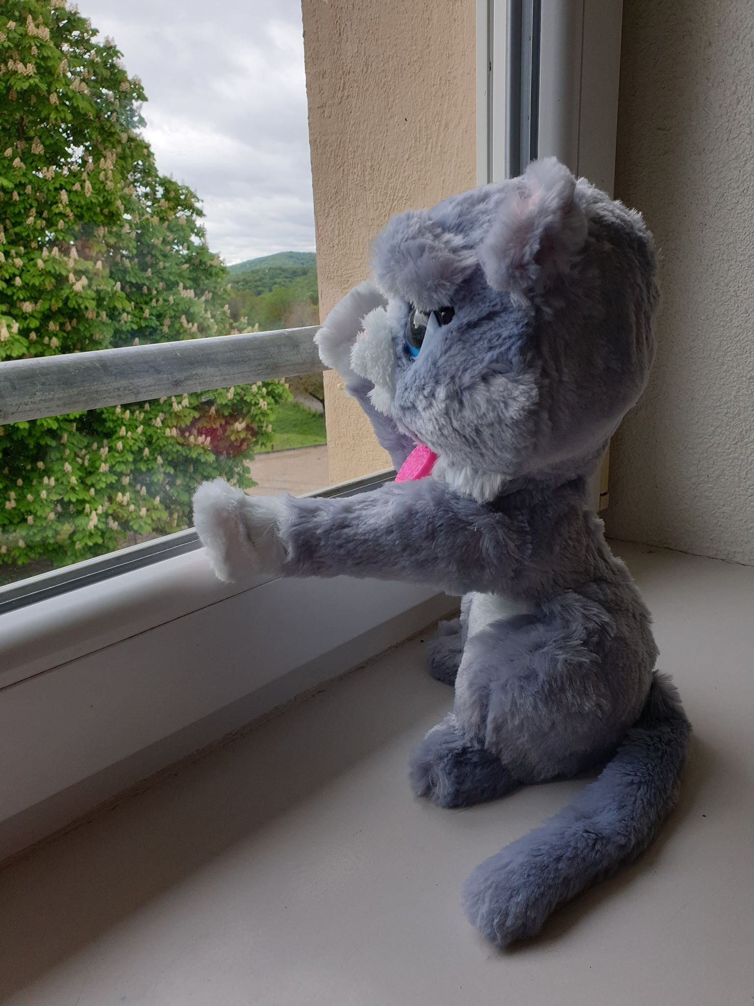 Bootsie Le Chat Fur Real Friends Comparateur Avis Prix Consobaby Bootsie Le Chat Fur Real Friends Comparateur Avis Prix Consobaby