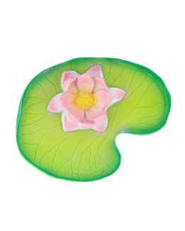 Nénuphar Lily pour bébé