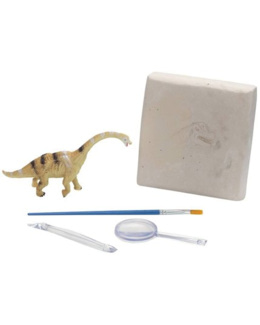 Mon kit d'exploration dinosaure - Brachiosaurus 