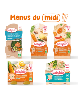 Pack repas bébé midi 8-12 mois