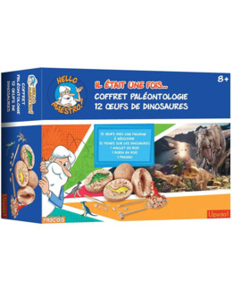 Coffret paléontologie - Il était une fois l'homme - 12 œufs dinosaures
