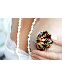 Coquillage d'allaitement - Baby Shell 