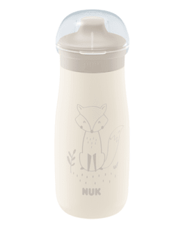 Gourde Mini-Me Sip en acier inoxydable 300ml avec bec verseur
