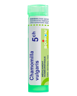 Chamomilla Vulgaris 5CH