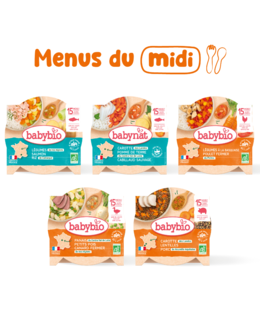 Pack repas bébé midi