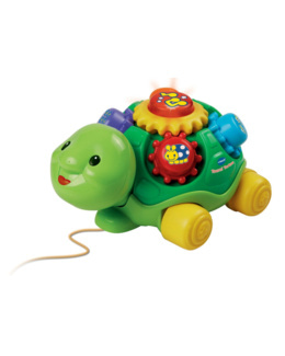 Tourni Tortue