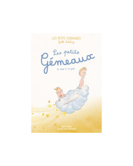 Livre le petit gémeaux