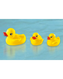 Canards de bain