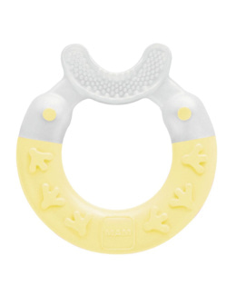 Anneau Dentition Nettoyant
