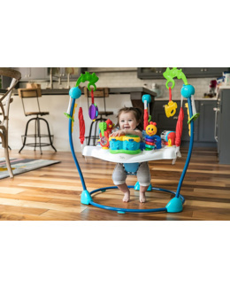 Jumperoo ''Neighborhood Symphony''