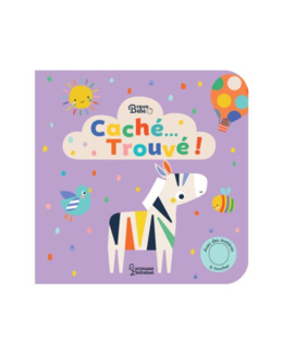 Livre Caché...trouvé