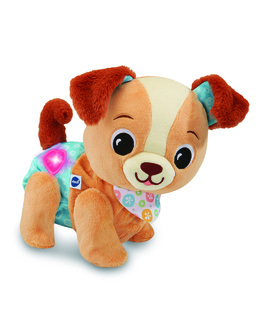 Toutou 1,2,3 Suis-moi