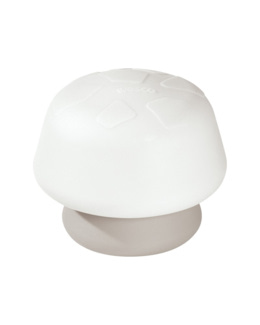 Champignon lumineux