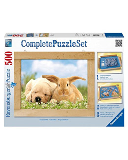 Puzzle - Complete Set - Inséparables - 500 pièces