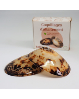 Coquillages d'allaitement
