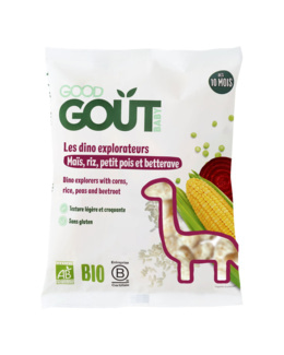 Les Dino Explorateurs