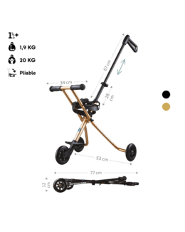 Porteur Trike