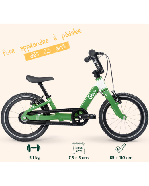 Vélo 14 pouces