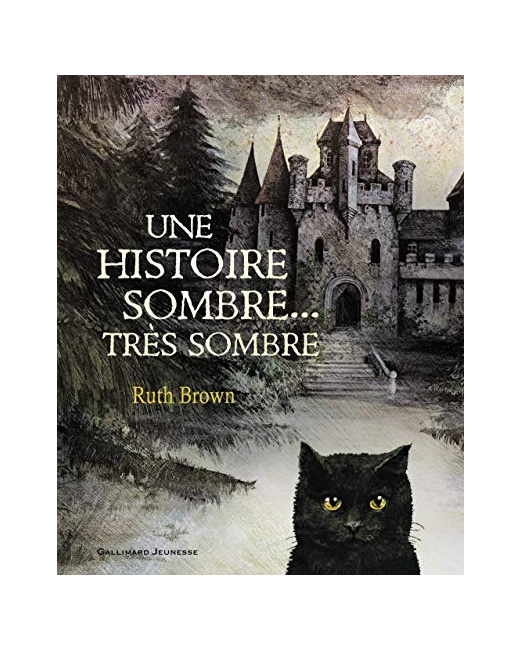 Livre Une Histoire Sombre, Tres Sombre