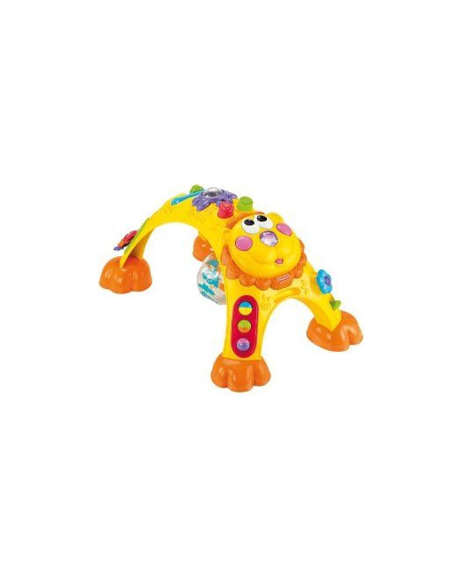 Lion d'activités