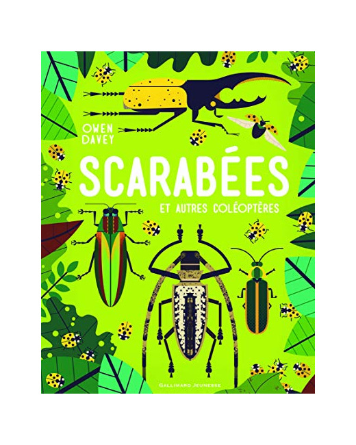 Livre Scarabees Et Autres Coleopteres