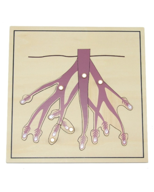 Puzzle de la racine