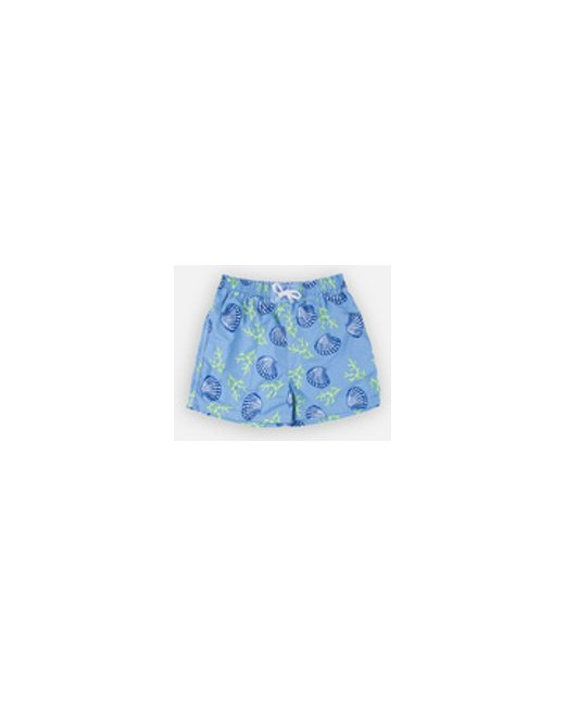 Daddy Boxer Pacific Archimède