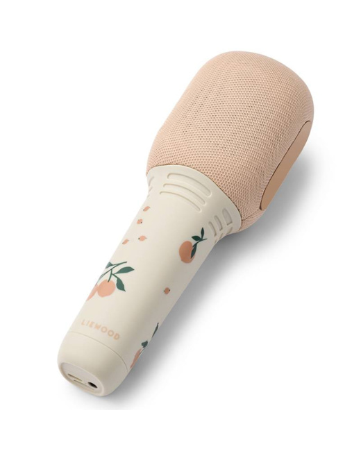 Karaoke microphone bluetooth