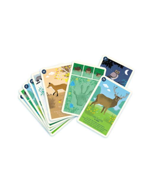 Jeu nature - Les 9 familles de la forêt
