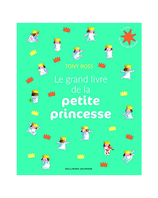 Livre Le Grand Livre De La Petite Princesse