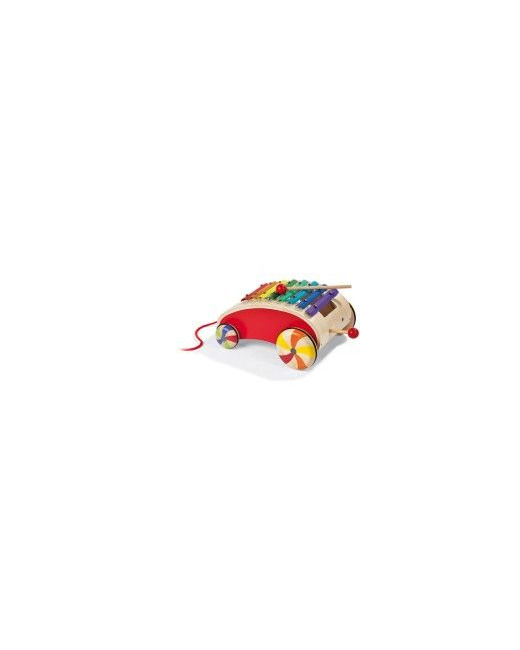 Xylo roller