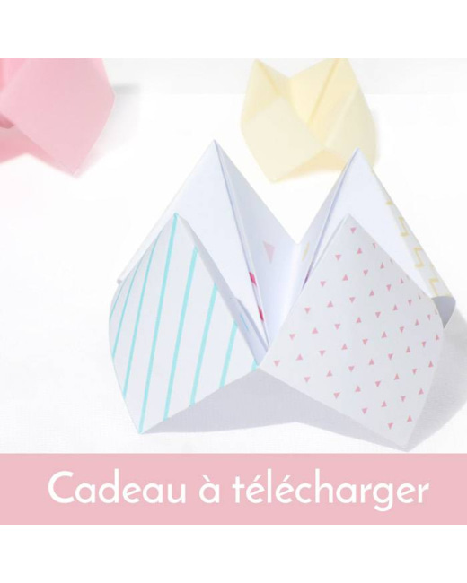 Cocotte fête des mères