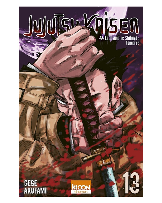 Jujutsu Kaisen Tome 13