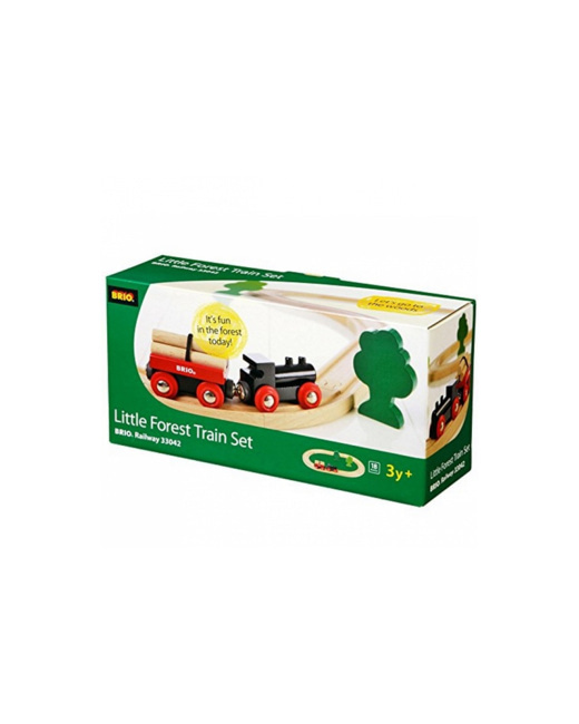Petit circuit train en foret