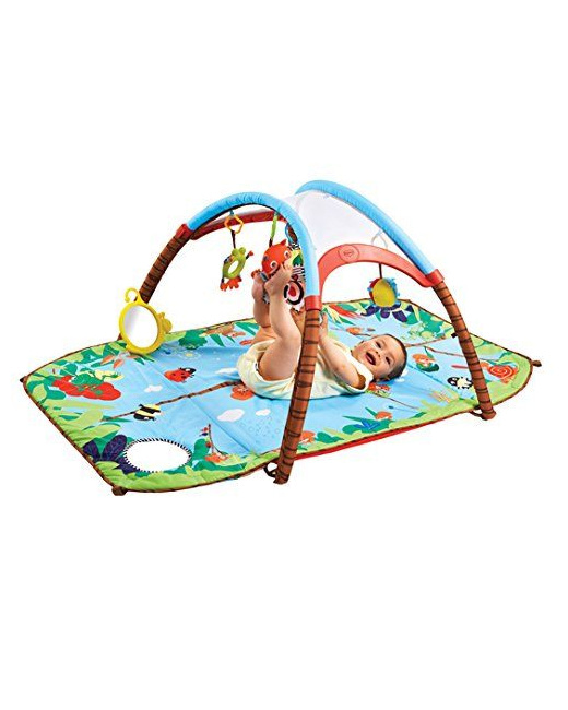 Tapis d'Éveil Gymini Developlace