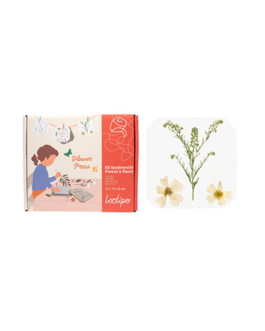 Presse à Fleurs Et Feuilles En Bois - Botaniste En Herbe