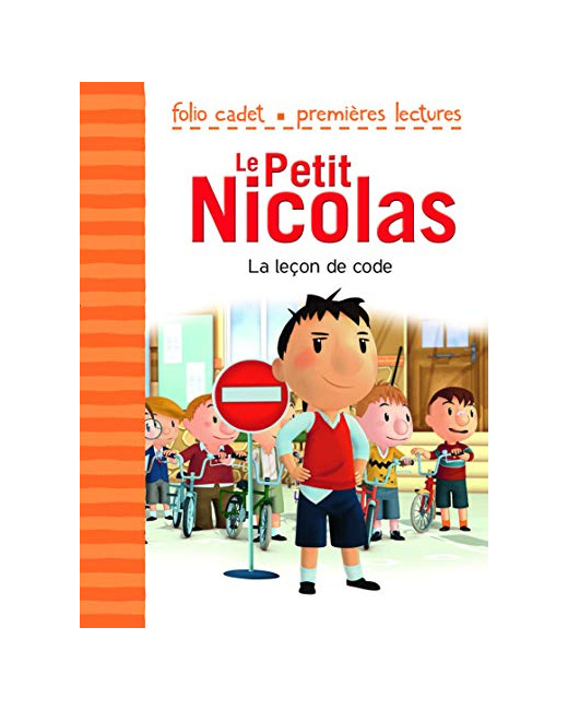 Livre La Lecon De Code