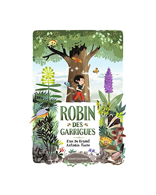 Robin des garrigues