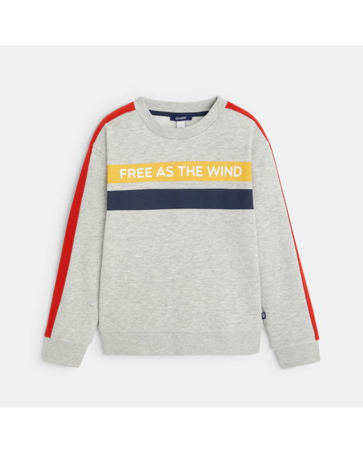 Sweat-shirt à message "Free as the wind" gris garçon