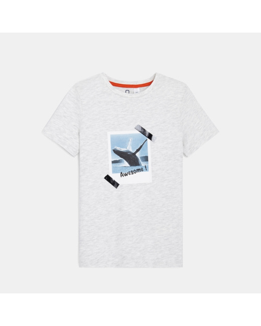 T-shirt en coton biologique photo baleine blanc garçon