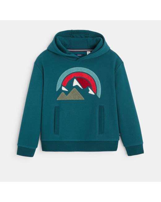 Sweat-shirt à capuche motif bouclettes vert garçon