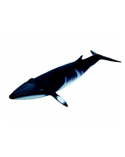 Figurine Baleine franche