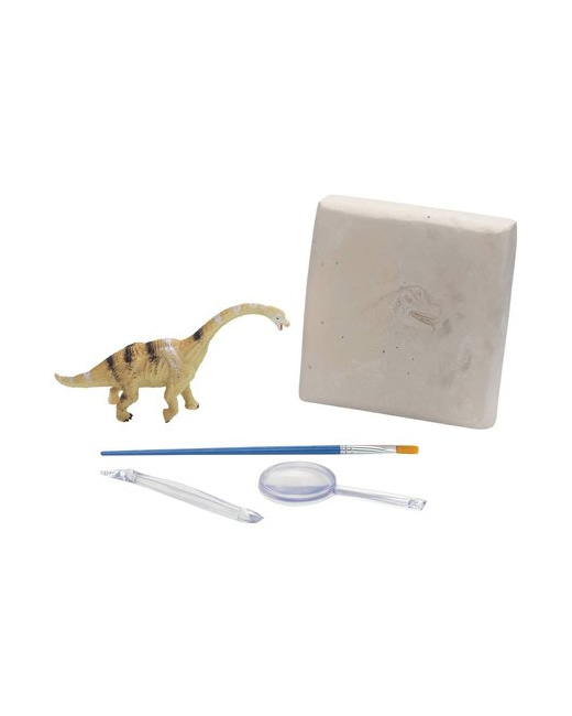 Mon kit d'exploration dinosaure - Brachiosaurus 