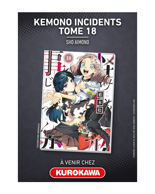 Kemono Incidents - Tome 18