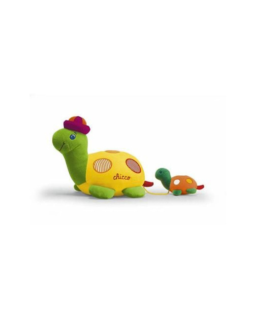 Famille tortue